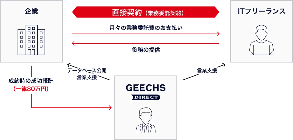ギークスダイレクトの説明図